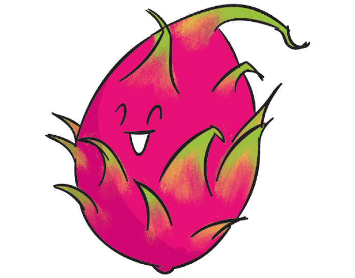 Ilustración de la pitaya roja